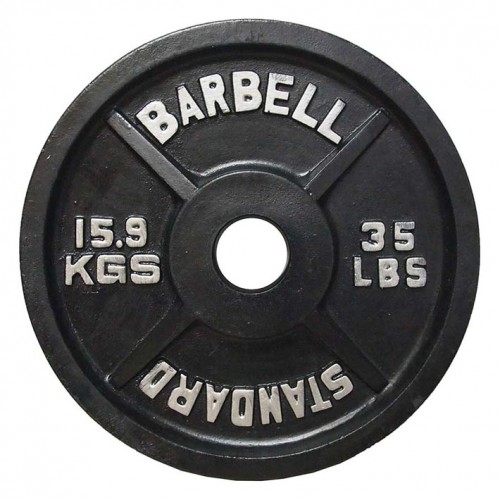 Fake Weight Plate in Gym Equipment