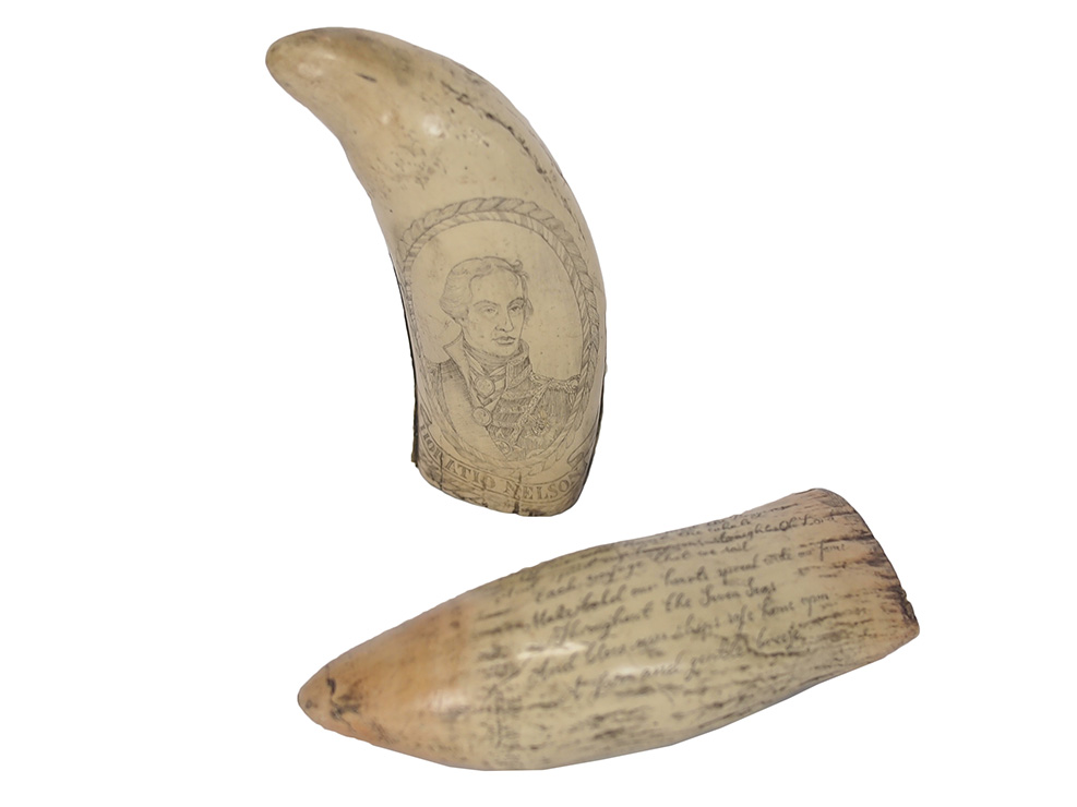 Scrimshaw Tooth in All Tiki, Beach & Nautical